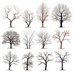 Obraz premium winter tree bare trees collection