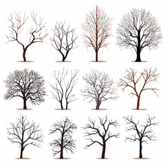 Obraz premium winter tree bare trees collection