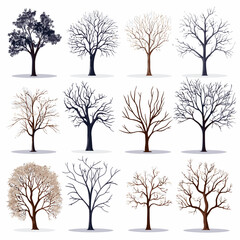 winter tree bare trees collection