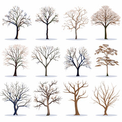 winter tree bare trees collection