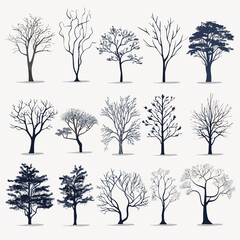 winter tree bare trees collection