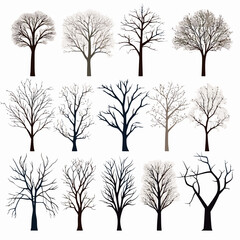 Obraz premium winter tree bare trees collection