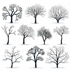 winter tree bare trees collection