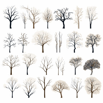 winter tree bare trees collection