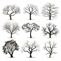 Vector winter bare tree collection