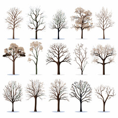 Obraz premium Vector winter bare tree collection