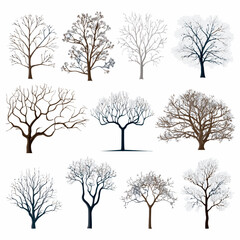 Vector winter bare tree collection