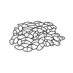 Hand drawn Kids drawing vector Illustration baru nuts in a cartoon style Isolated on White Background