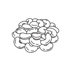 Hand drawn Kids drawing vector Illustration cashews in a cartoon style Isolated on White Background