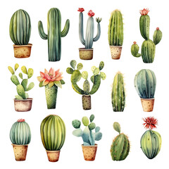 Watercolor cactus Clipart Collection on a transparent background - 1
