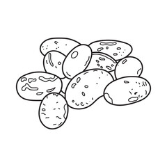 Hand drawn Kids drawing vector Illustration pinto beans in a cartoon style Isolated on White Background