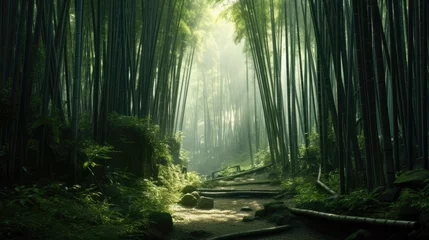 Foto op Canvas A serene bamboo forest with tall, slender stalks. © Galib