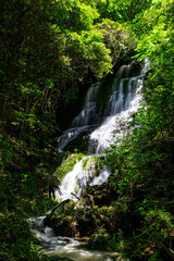 美しい新緑に囲まれた滝｜太戸の滝