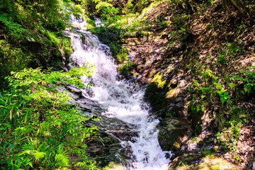 美しい新緑の滝｜太戸の滝