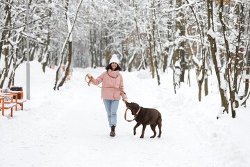 Fototapeta na wymiar Woman walking with adorable Labrador Retriever dog in snowy park