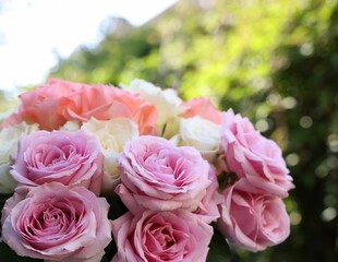 Beautiful bouquet of aromatic roses outdoors, closeup