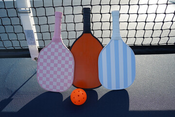 Pickle ball paddle on pickle ball court.