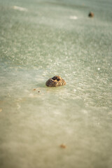 Close up of Rock Landed on Frozen Water Ice Lake