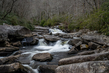 gorges state park NC
