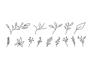 Set hand drawn floral branch leaves minimal line art elements vector illustration 