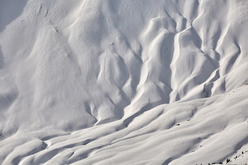 Ski Slope with Fresh Curves - obrazy, fototapety, plakaty
