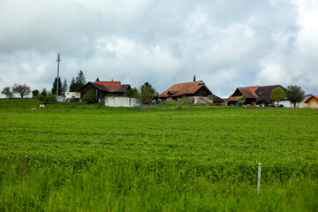 Groupe de maisons dans les champs dans le canton de Vaud en Suisse