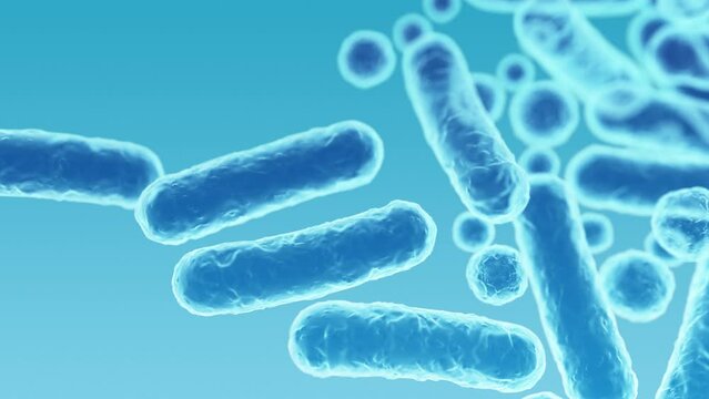 Enterobacteriaceae, gram-negative rod-shaped bacteria, part of intestinal microbiome and causative agents of different infections, 3D rendering. Escherichia coli, Klebsiella, Enterobacter and other