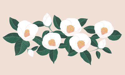 Tsubaki, White Camellia flower and leaves botanical painting. Vector illustration for Floral invitation card design.