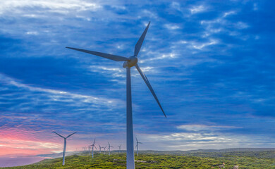 Obraz premium Albany Wind Farm near the town of the same name in Western Australia.