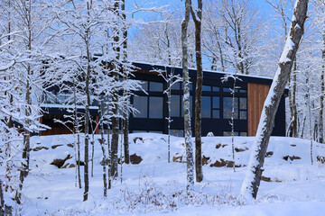 Winter landscape after a snow storm eastern township Quebec Canada
