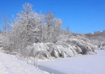 Winter landscape after a snow storm eastern township Quebec Canada
