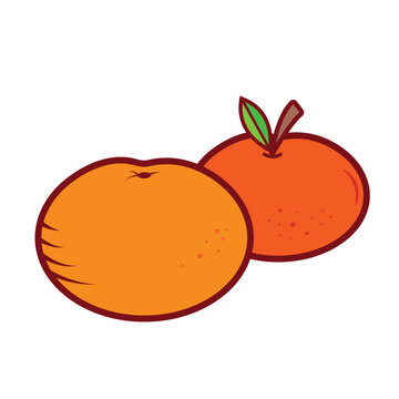 Mandarin oranges sweet and fresh fruit colored vector icon illustration with outline isolated on plain white background. Buah Jeruk manis cartoon art styled drawing.