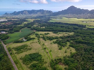 Fototapeta na wymiar Aerial view of Kauai towards Haupu mountain