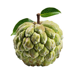 fresh custard apple , without drop shadow, with blank white isolated background