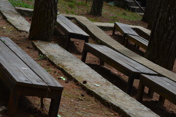 Fototapeta premium photo of benches for a show in the middle of a pine forest