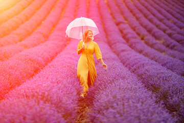 Woman lavender field. A middle-aged woman in a lavender field walks under an umbrella on a rainy...