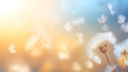 Whispers of Nature: A Dreamy Dandelion's Captivating Closeup in the Soft Embrace of Spring - obrazy, fototapety, plakaty