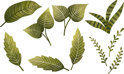 watercolor greenery leaves illustration set elements