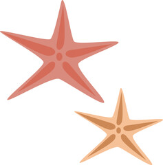 starfish illustration 