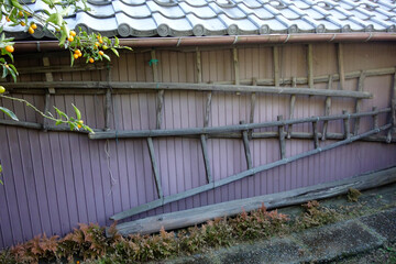 鄙びた家のトタン板の壁に掛けられた大型の古い木製の梯子