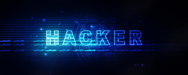 2d illustration Cyber crime and internet privacy hacking. Network security, Cyber attack, Computer Virus, Ransomware, and Malware Concept