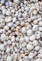 Makhana or Fox Nut Background with Copy Space, Also Known as Lotus Seed Pop, Euryale Ferox or Gorgon Nut, Healthy Eating Food and Snack