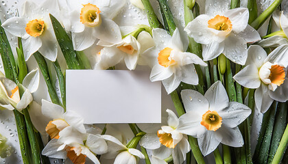 Daffodils flowers easter spring background with blank paper in the middle with copy space for text