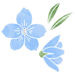 水彩風の花、デルフィニウム、アイコン、デコレーション素材