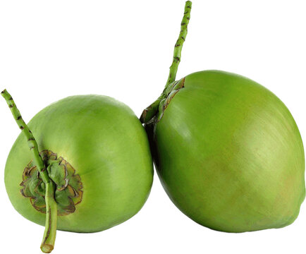 Green Fresh Coconut PNG Transparent Image