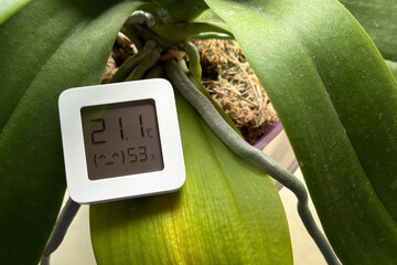 Hygrometer and orchid. The hygrometer displays humidity and temperature near the orchid flower