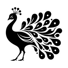 minimal peacock bird vector silhouette, black color silhouette, white background