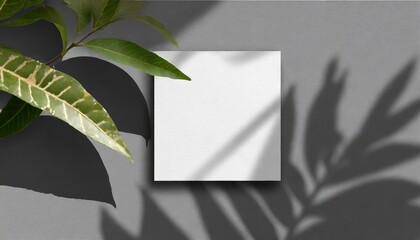 Subtle Botanical: Square Paper Mockup with Leaf Overlay