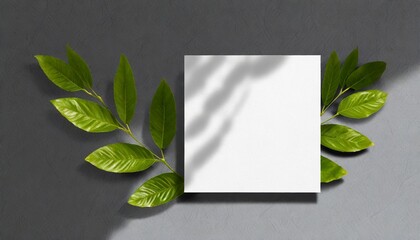 Botanic Simplicity: Leaf-Adorned Square Paper Mockup