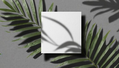 Natural Vibes: Square Paper Mockup with Leaf Shadow